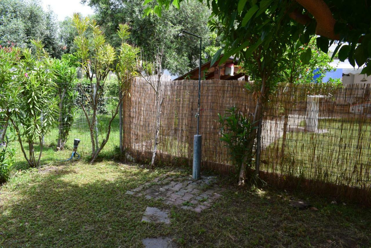 Dimar1 Seaside Apartment Paralia Dionysiou Exterior photo